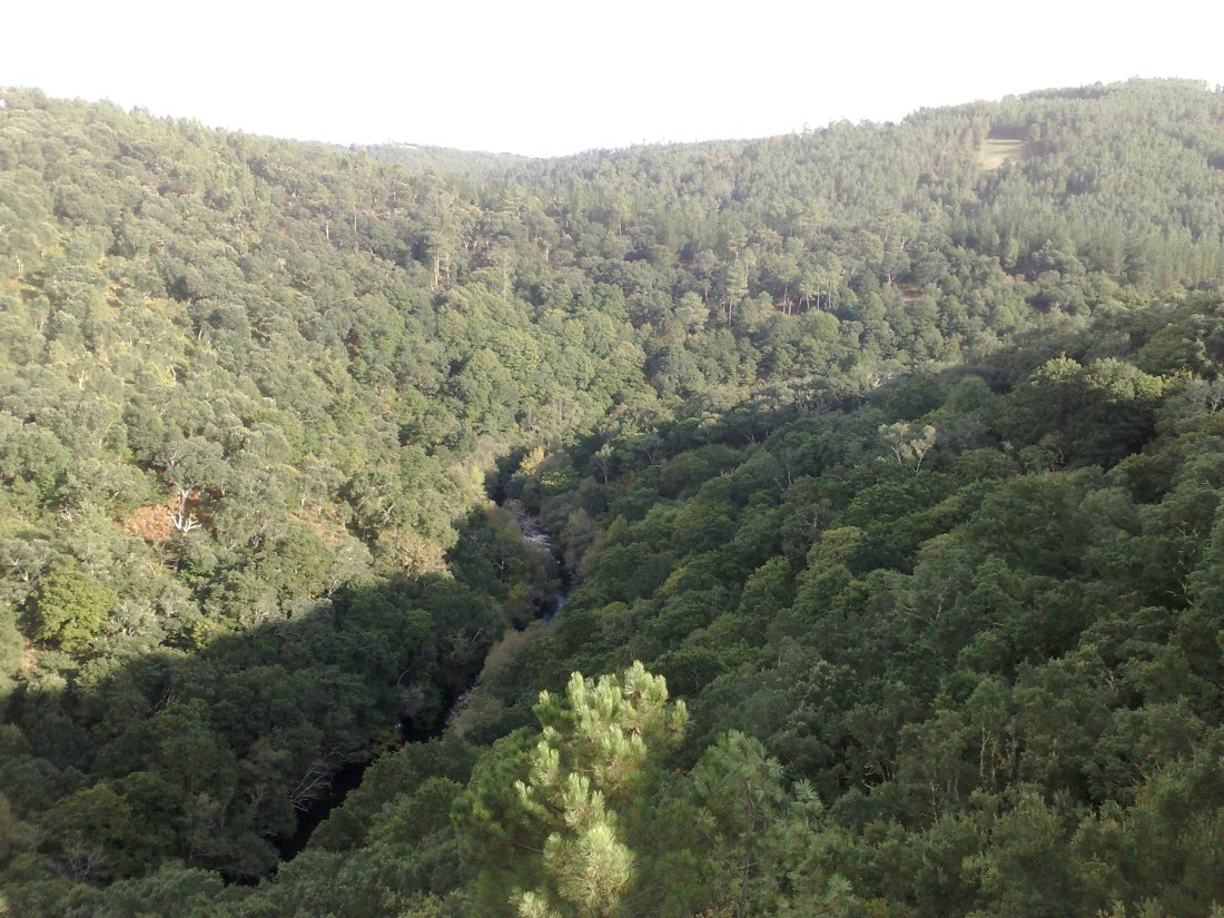 22. sobreirais do arnego