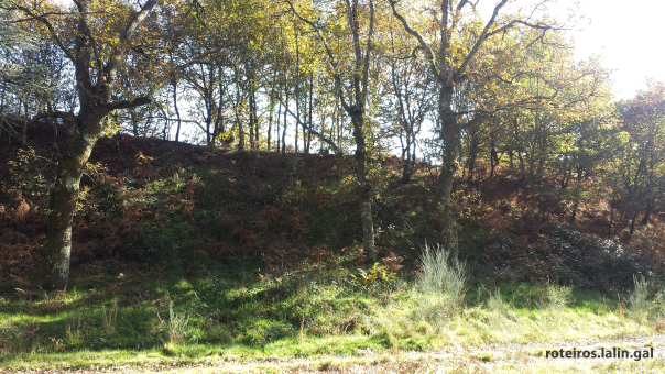 Roteiro Castro de Sestelo